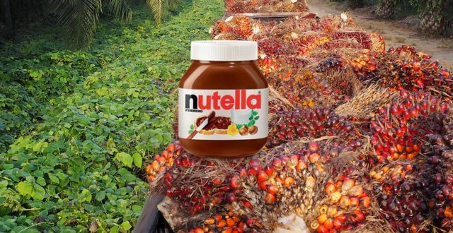La Corte d'Appello di Bruxelles ha dato ragione a Nutella, nella battaglia contro l'utilizzo dell'olio di palma. 