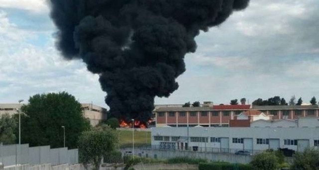 Allarme su verdure e latte a Pomezia dopo l'esplosione e la nube tossica: dove finiscono i prodotti della zona e quali sono le aziende a rischio?