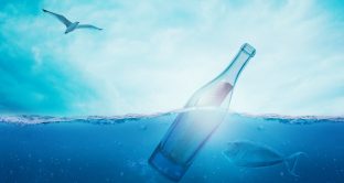 In Italia il giro d’affari dell’acqua minerale in bottiglia continua a dare i suoi frutti ma i dati confermano la buona qualità di quella del rubinetto che conviene. 
