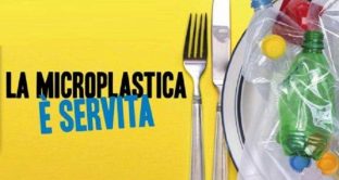Microplastiche nelle bevande gasate, l'inchiesta de Il Salvagente che ci mette di fronte alla realtà dell'inquinamento anche nella catena alimentare. 