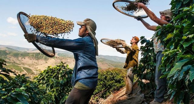 Le quotazioni del caffè crollano sul mercato internazionale e mandano su tutte le furie i produttori, specie in Colombia, dove minacciano di abbandonare le contrattazioni a New York per poter vendere i chicchi a prezzi superiori ai costi. 
