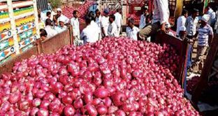 Le cipolle in India scarseggiano dopo la stagione dei monsoni e il governo di Nuova Delhi è passato alle maniere forti: vietate le esportazioni, limiti ai magazzini. Prezzi in calo, ma doppi rispetto a pochi mesi fa. 