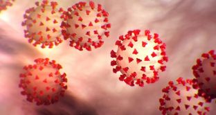L’Oms ha affermato che l’alterazione dei processi di trasmissione di patologie quali il Coronavirus è una delle dirette conseguenze dei cambiamenti climatici.