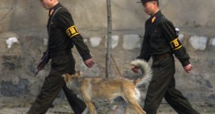 Caccia ai cani a Pyongyang, dove la fame dilaga tra emergenza Covid, alluvioni e isolamento internazionale. E il leader riunisce i vertici del partito per fare il punto.