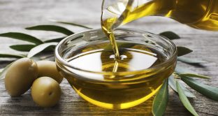 Olio di oliva extravergine