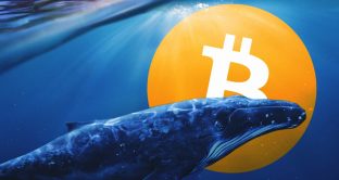 Prezzi dei Bitcoin alla luce delle 'balene'