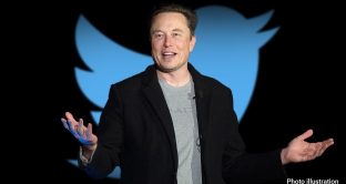Spunta blu per utenti Twitter con Elon Musk
