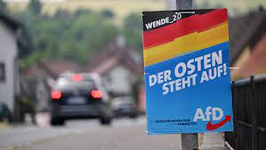 Prima vittoria elettorale per AfD in Germania