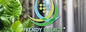 frendy energy