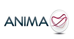 Per Anima il 2018 si chiude in positivo, con un utile netto in crescita del 9,7% a 122 milioni di €.