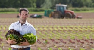Contributi volontari 2017 per i lavoratori agricoli, l'INPS comunica i nuovi coefficienti e le modalità di calcolo.