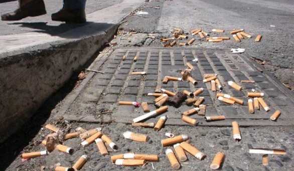 Sanzioni molto salate per chi getta a terra fazzoletti di carta, rifiuti di piccole dimensioni e mozziconi di sigarette. In vigore da oggi il collegato ambientale.