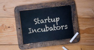 Startup innovative e incubatore certificato, cosa sono e quali sono i requisiti e i criteri che devono possedere per essere legalmente costituiti.