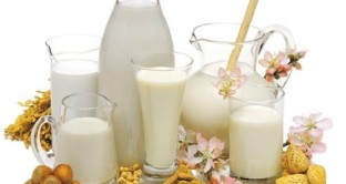 Latte di riso e latte di soia non possono essere chiamati 'latte', ma bevande al gusto di soia o riso. A stabilirlo la Corte di Giustizia UE.