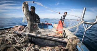 In alcuni casi, il bonus pescatori può essere cumulato con altre indennità. Ecco quando è ammesso il cumulo