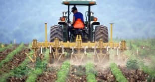 Il lavoratore agricolo beneficiario della NASPI o DIS-COLL il cui termine ultimo di godimento ricade tra marzo 2020 ed aprile 2020, continuerà a percepirle anche se stipulerà un contratto di lavoro 