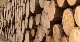 Si incrementa di 0,4 punti la percentuale di compensazione forfettizzata IVA per le cessioni della legna nel settore agricolo