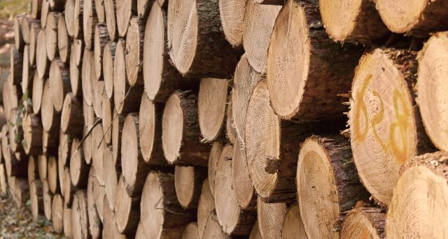 Si incrementa di 0,4 punti la percentuale di compensazione forfettizzata IVA per le cessioni della legna nel settore agricolo