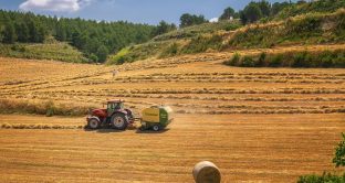 Settore agroalimentare: 2 miliardi di euro dal Sostegni-bis