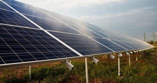 Imprese agricole e zootecniche: in arrivo risorse per impianti fotovoltaici