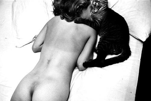 Bed Time (Nude with cat) by Elliott Erwitt, 1954.jpg