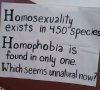 073-homophobia.jpg