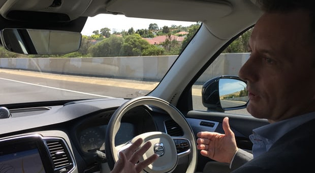 Volvo: le auto a guida autonoma riscontrano alcuni problemi in Australia a causa dei canguri che con il loro movimento farebbero impazzire i sensori