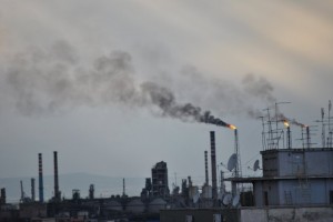 Gli ambientalisti parlano dell’ennesimo danno ambientale a Taranto ma la Capitaneria di Porto sminuisce. Le foto dell'incendio