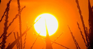 Allarme caldo africano record meteo