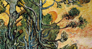 Sta per iniziare la mostra di Van Gogh a Vicenza, una delle più grandi esposizioni dedicate al pittore olandese. 