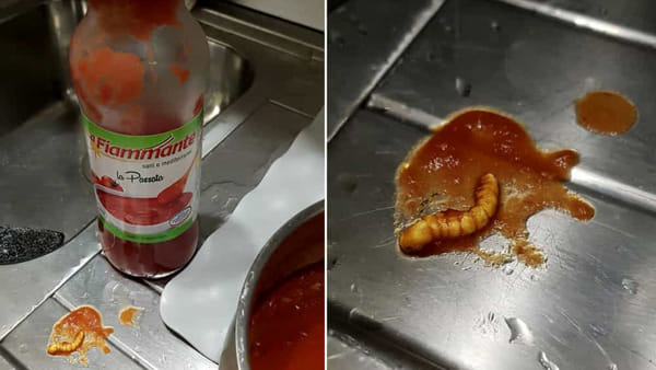 Un verme nella passata di pomodoro, posta la foto su Facebook e l'azienda risponde. 
