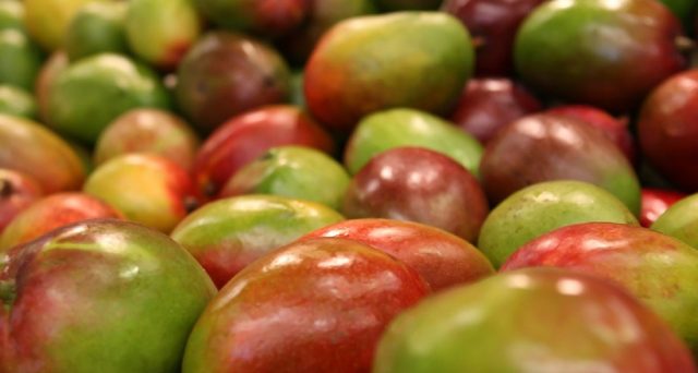 Il Mango è un frutto esotico dalle tante proprietà: ecco i suoi principali benefici.