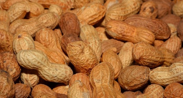 Proteine di arachidi sono presenti anche in cibi confezionati o si potrebbero assumere al ristorante: l’allergia è considerata una delle più pericolose e diffuse. News su vaccino e effetti.