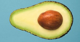 dieta avocado