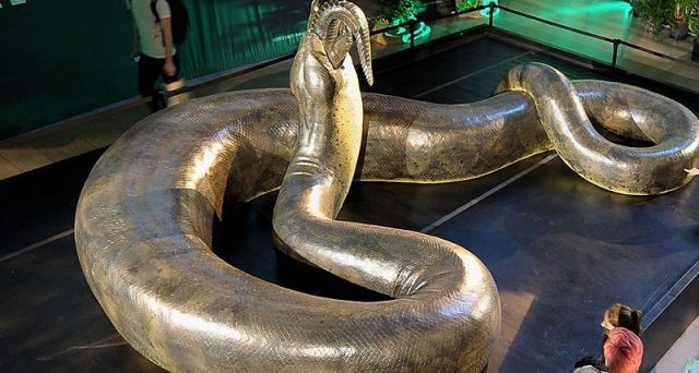 Quali sono i serpenti più lunghi del mondo? Ce lo dice questa lista.