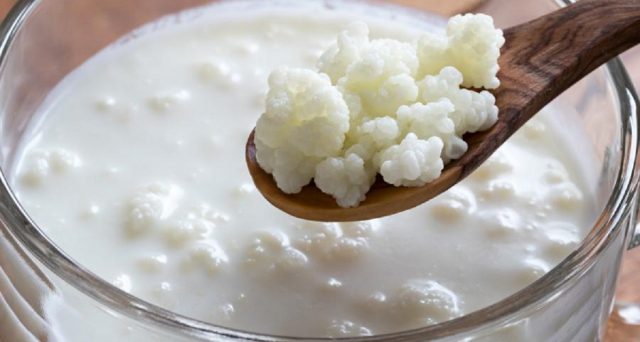 Per molte persone è un toccasana: il kefir è una bevanda simile allo yogurt, che presenta proprietà importanti, benefici e qualche controindicazione.