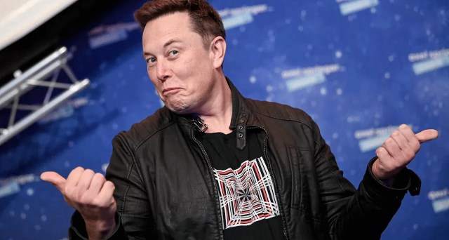 Elon Musk natalità