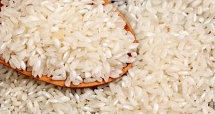 Richiami alimentari Lidl e Coop: via dagli scaffali riso e condimento per insalata di pasta