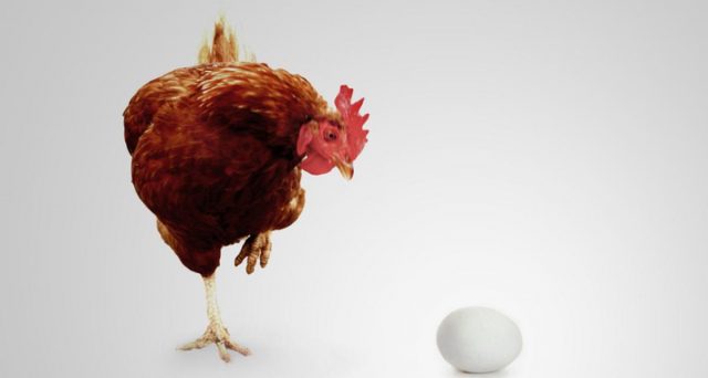 Il grande paradosso che ha attanagliato la nostra esistenza, è nato prima l'uovo o la gallina, finalmente risolto.