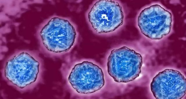 Norovirus, è allarme in Italia, ma i virologi individuano il colpevole