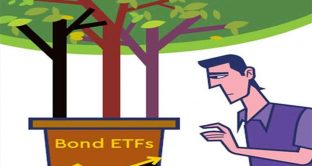 Inserire qualche ETF nel proprio portafoglio di bond sarebbe una buona cosa. Vediamo perché e a cosa dobbiamo stare attenti per evitare errori in fase di investimento. 