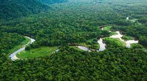 Bond sostenibile dell'Amazzonia