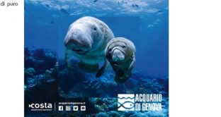 Ecco orari, promozioni speciali e offerte Trenitalia 2018 Acquario di Genova 2018 nonché offerte per mostre e musei.