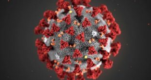 Trovaprezzi.it ha eseguito una speciale indagine grazie alla quale si è evinto che sul portale nella sola settimana dal 18 al 24 febbraio sono state eseguite oltre 373 mila ricerche riguardanti la categoria prodotti e salute a seguito dell'emergenza Coronavirus.