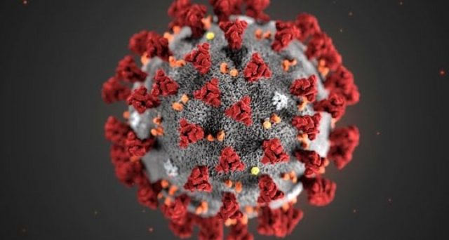 Trovaprezzi.it ha eseguito una speciale indagine grazie alla quale si è evinto che sul portale nella sola settimana dal 18 al 24 febbraio sono state eseguite oltre 373 mila ricerche riguardanti la categoria prodotti e salute a seguito dell'emergenza Coronavirus.