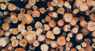 È possibile risparmiare su una serie di costi: tutto quello che occorre sapere sull’acquisto della legna per camini e stufe.