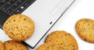 Il Garante per la privacy ha imposto nuove norme sull'utilizzo dei cookie in base alle ultime direttive europee: tutti i siti avranno tempo un anno per adeguarsi alle nuove regole. Prima di scoprire cosa dice il provvedimento, scopriamo cosa sono i cookie e come minacciano la nostra privacy.  