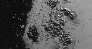 Nuove immagini sono state inviate da New Horizons su Plutone e i suoi satelliti, Notte e Idra. 