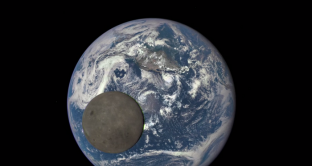 La Luna mostra ancora una volta il suo lato scuro grazie a uno splendido video di fotografie scattate dalla sonda Dscovr. 