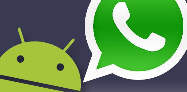 Su WhatsApp è possibile modificare la suoneria delle notifiche. Ecco come fare sui tre più usati sistemi operativi